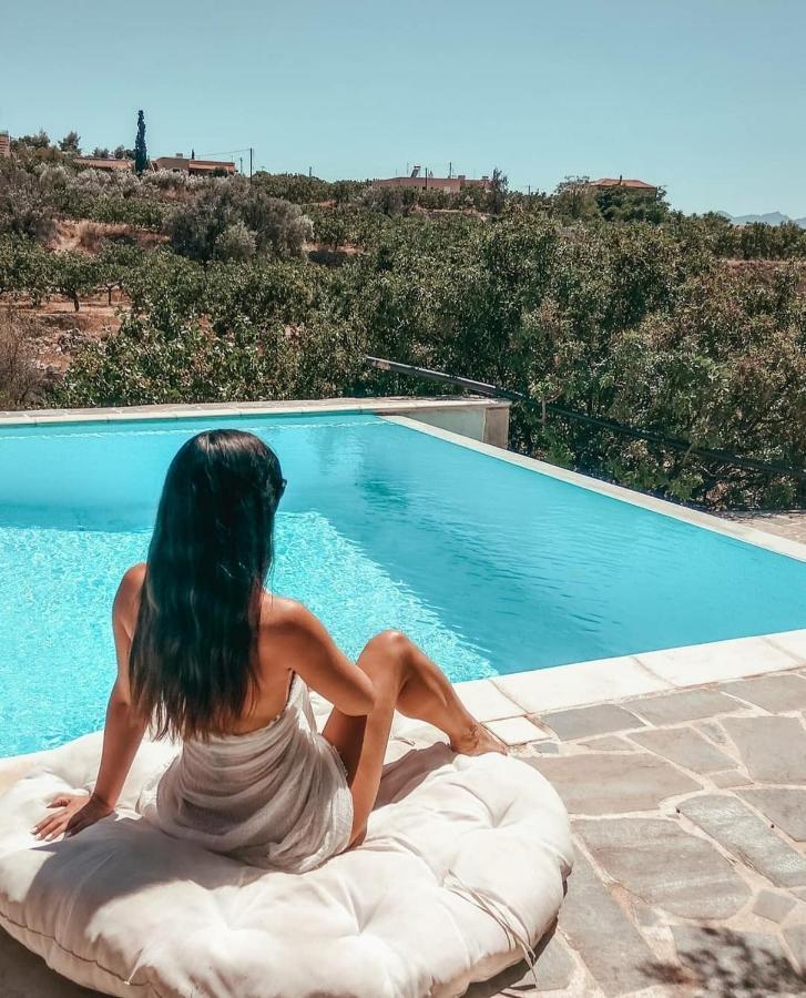 Villa Xenia Aegina ภายนอก รูปภาพ